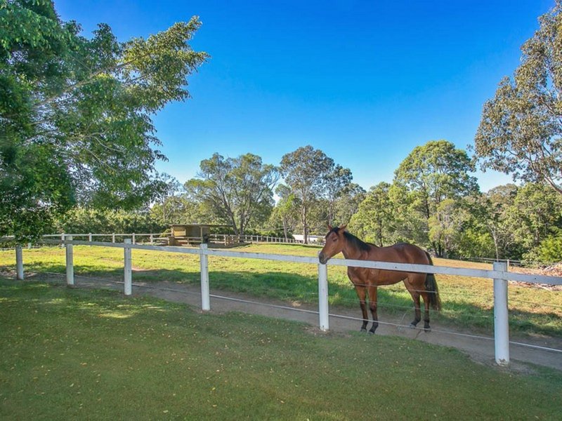 Photo - 10 Baron Ct , Tallai QLD 4213 - Image 23