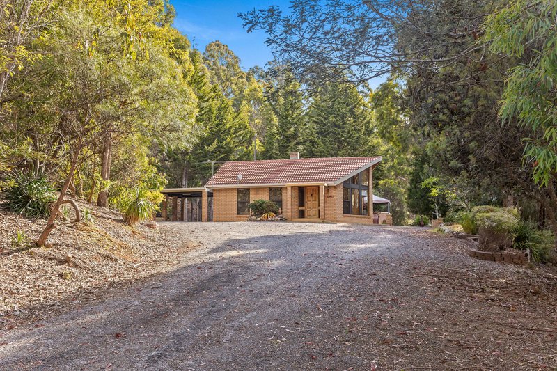 Photo - 10 Barra Road, Deloraine TAS 7304 - Image 2