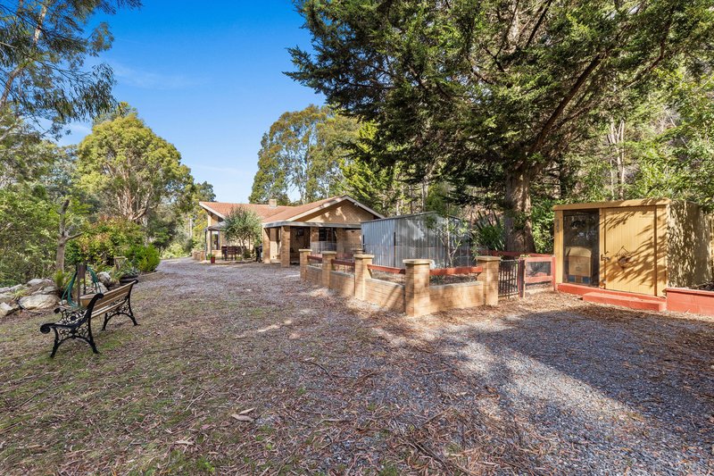 Photo - 10 Barra Road, Deloraine TAS 7304 - Image 19