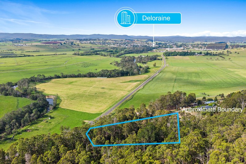 Photo - 10 Barra Road, Deloraine TAS 7304 - Image 29