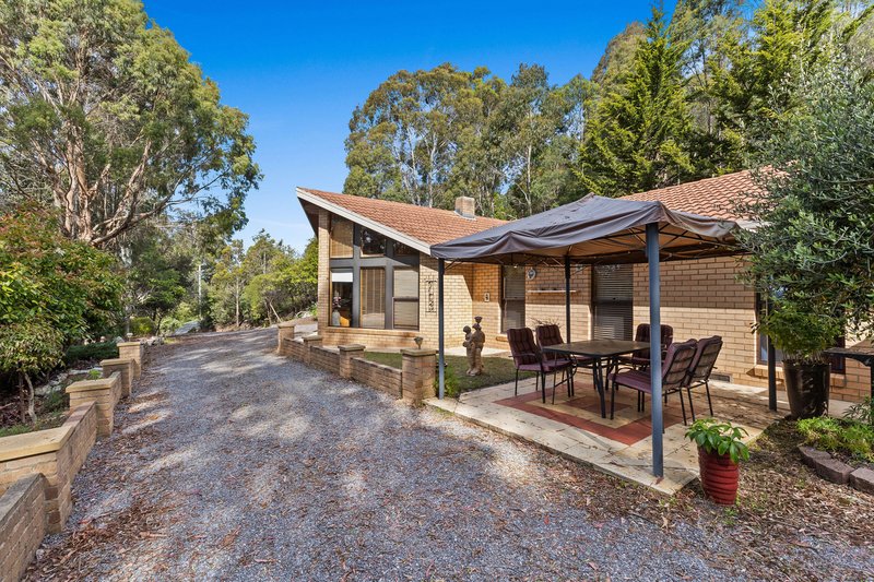 Photo - 10 Barra Road, Deloraine TAS 7304 - Image 4