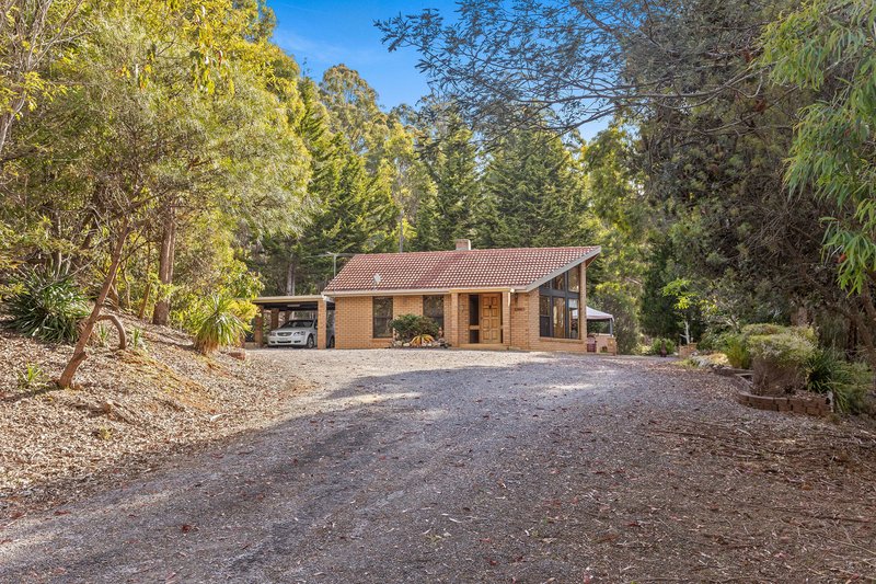 Photo - 10 Barra Road, Deloraine TAS 7304 - Image 5
