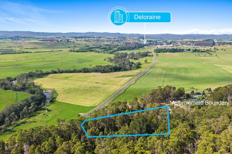 Photo - 10 Barra Road, Deloraine TAS 7304 - Image 13