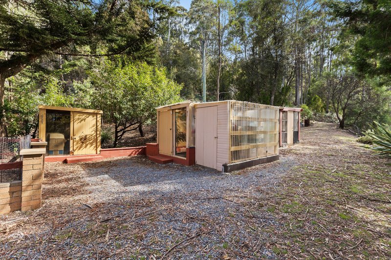 Photo - 10 Barra Road, Deloraine TAS 7304 - Image 34