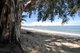 Photo - 10 Barrier Close, Clifton Beach QLD 4879 - Image 21