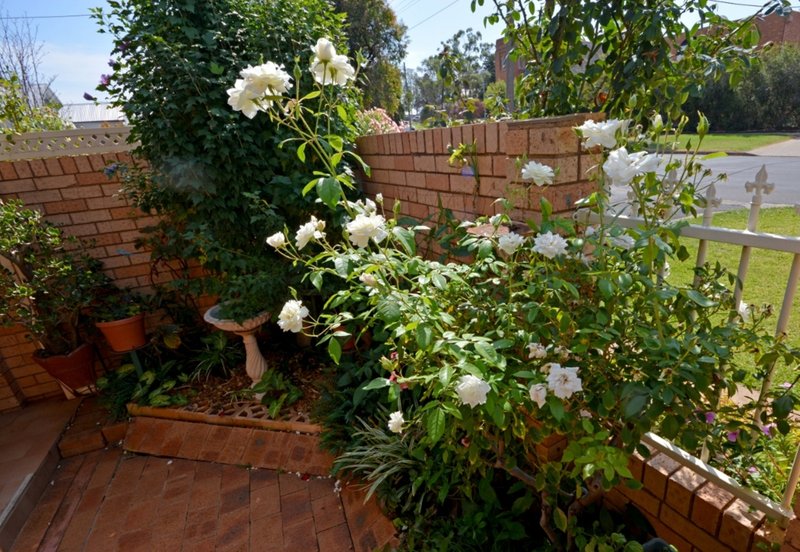 Photo - 10 Beal Street, Griffith NSW 2680 - Image 16