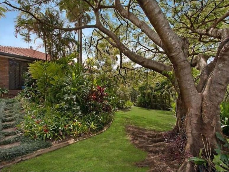 Photo - 10 Biral Close, Bilambil NSW 2486 - Image 6