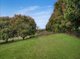 Photo - 10 Biral Close, Bilambil NSW 2486 - Image 12