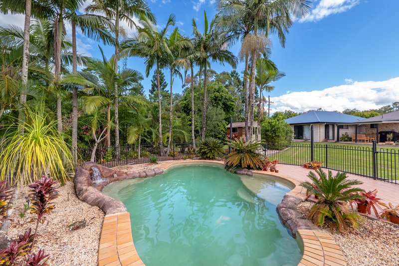 Photo - 10 Bloodwood Close, Mooloolah Valley QLD 4553 - Image 6