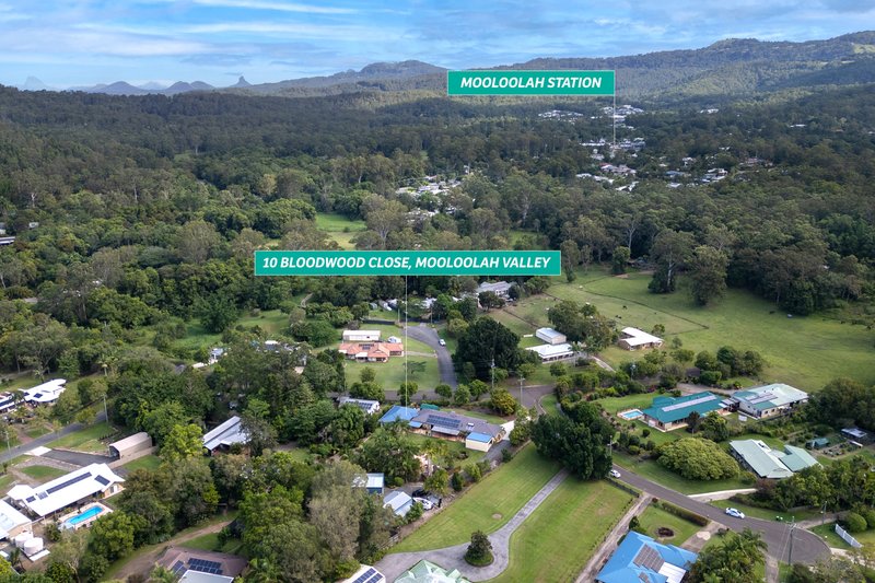 Photo - 10 Bloodwood Close, Mooloolah Valley QLD 4553 - Image 21