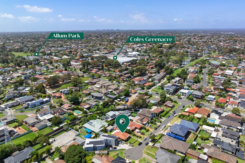 Photo - 10 Bunt Avenue, Greenacre NSW 2190 - Image 10