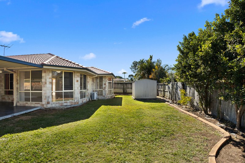 Photo - 10 Calista Crescent, Bracken Ridge QLD 4017 - Image 8