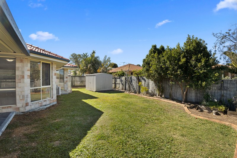 Photo - 10 Calista Crescent, Bracken Ridge QLD 4017 - Image 17