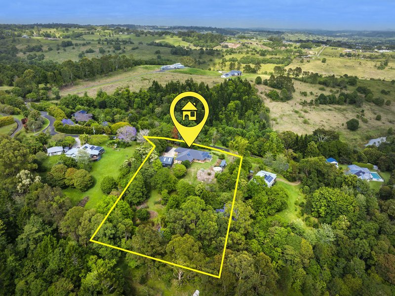 Photo - 10 Carabeen Place, Mcleans Ridges NSW 2480 - Image 25