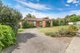 Photo - 10 Carlisle Crescent, Wodonga VIC 3690 - Image 1