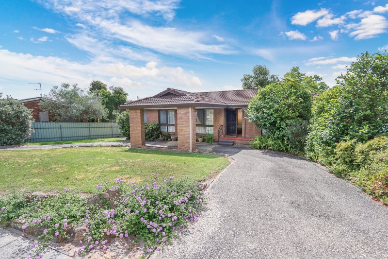 Photo - 10 Carlisle Crescent, Wodonga VIC 3690 - Image 3