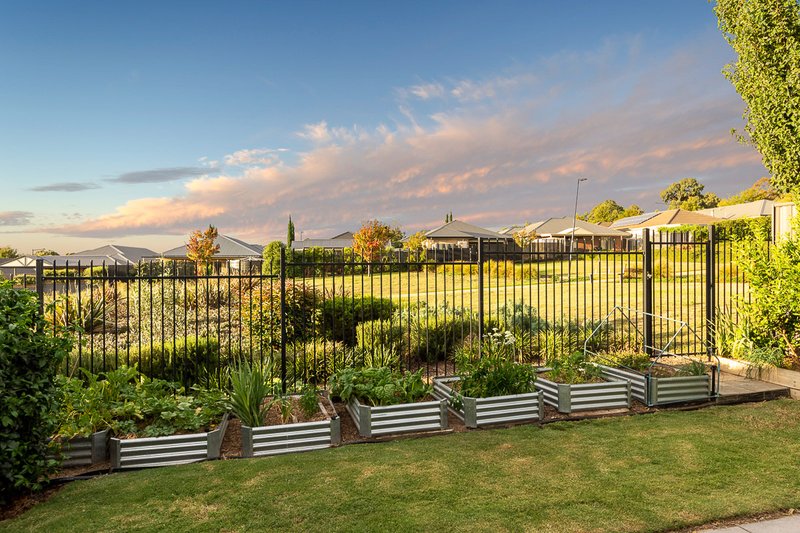 Photo - 10 Carlson Street, Mount Barker SA 5251 - Image 12