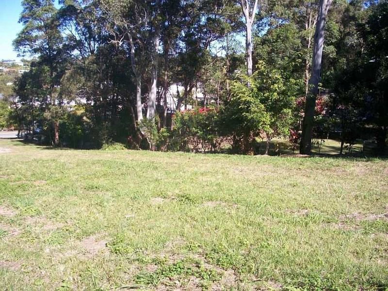 Photo - 10 Cedara Place, Buderim QLD 4556 - Image 3