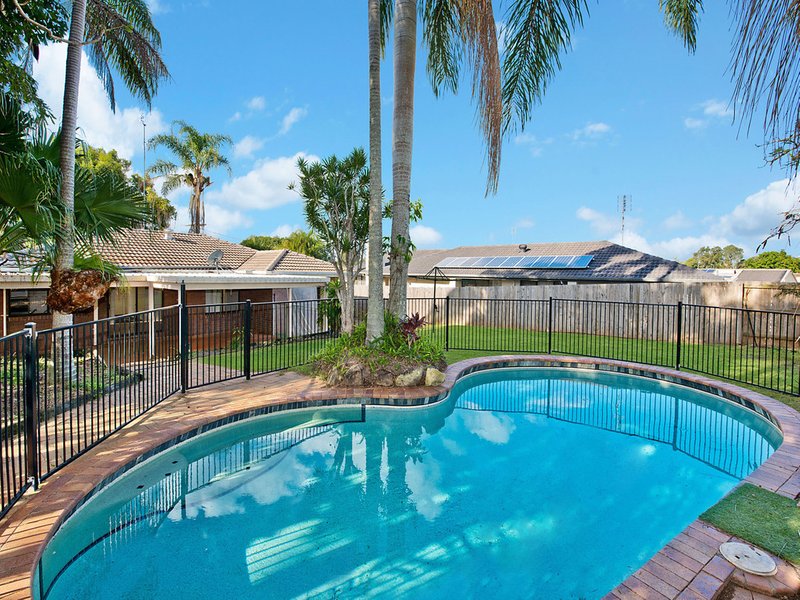 Photo - 10 Claremont Street, Buderim QLD 4556 - Image 3