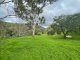 Photo - 10 Clement Road, Athelstone SA 5076 - Image 7