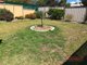 Photo - 10 Colwell Street, Tumut NSW 2720 - Image 18