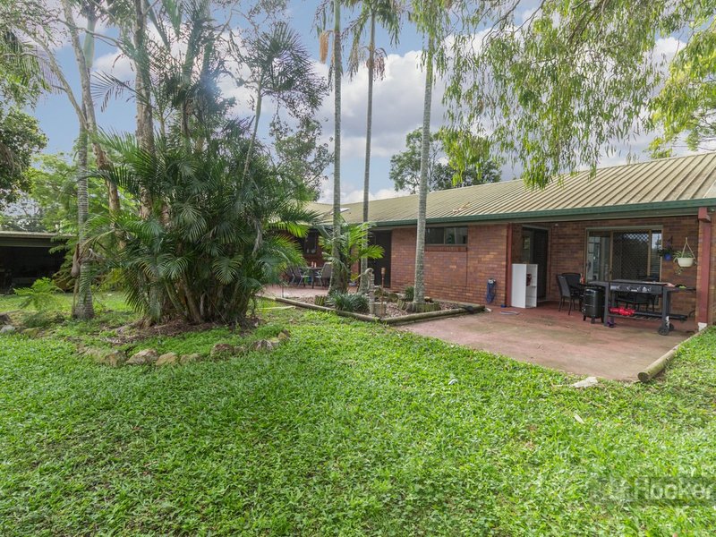 Photo - 10 Conifer Street, Daisy Hill QLD 4127 - Image 13