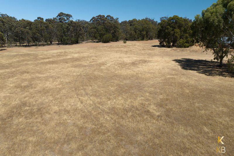 Photo - 10 Conostylis Way, Coondle WA 6566 - Image 3