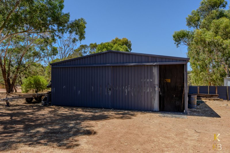 Photo - 10 Conostylis Way, Coondle WA 6566 - Image 4