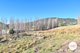 Photo - 10 Coopers Road, Ellendale TAS 7140 - Image 10