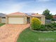 Photo - 10 Country Club Close, Carseldine QLD 4034 - Image 15