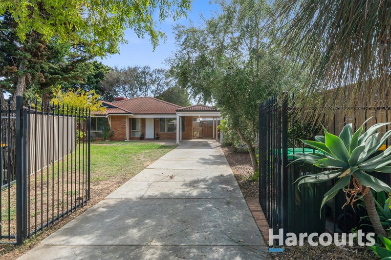 Photo - 10 Dauphine Place, Joondalup WA 6027 - Image 24