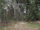 Photo - 10 Devaney Street, Macleay Island QLD 4184 - Image 2