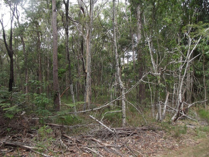 Photo - 10 Devaney Street, Macleay Island QLD 4184 - Image 3