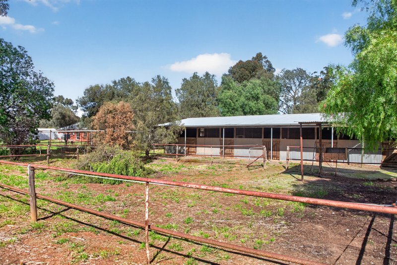 Photo - 10 Dixon Road, Buchfelde SA 5118 - Image 15