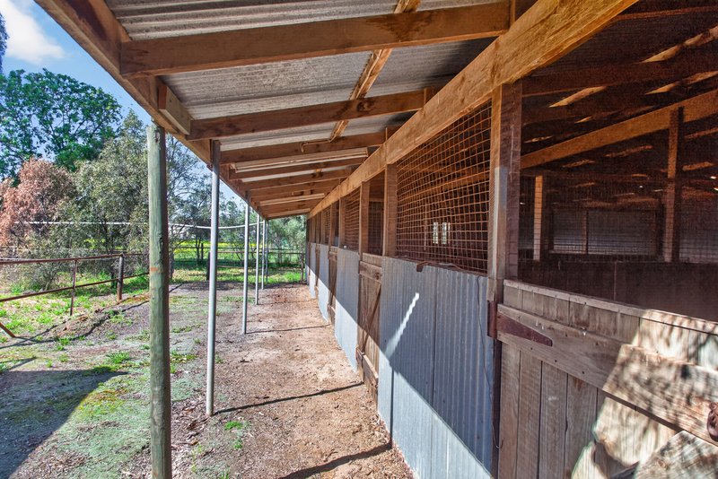 Photo - 10 Dixon Road, Buchfelde SA 5118 - Image 16