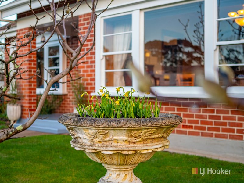 Photo - 10 Dodgin Street, Wynyard TAS 7325 - Image 5