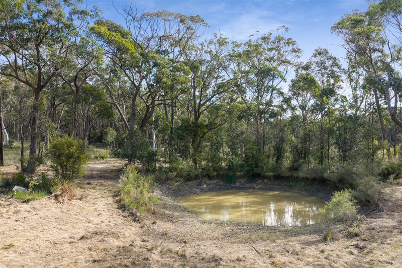 Photo - 10 Drapers Road, Colo Vale NSW 2575 - Image 21