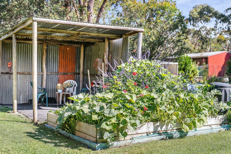 Photo - 10 Drapers Road, Colo Vale NSW 2575 - Image 22