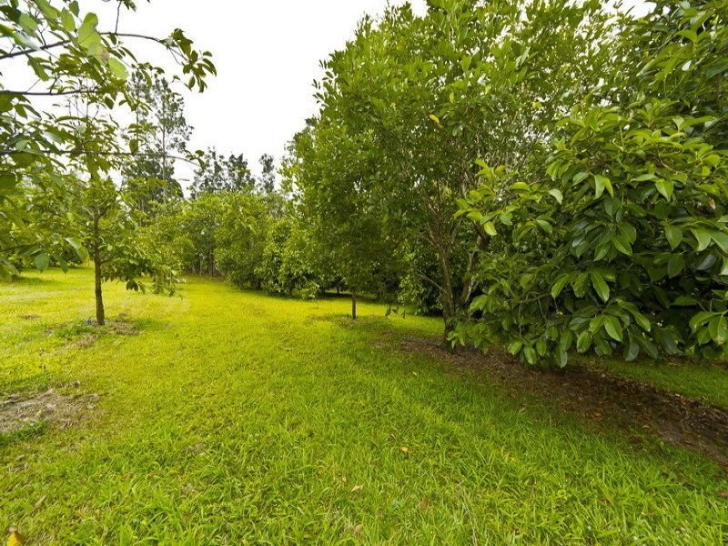 Photo - 10 Fishers Creek Road, Coorumba QLD 4860 - Image 9