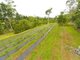 Photo - 10 Fishers Creek Road, Coorumba QLD 4860 - Image 10