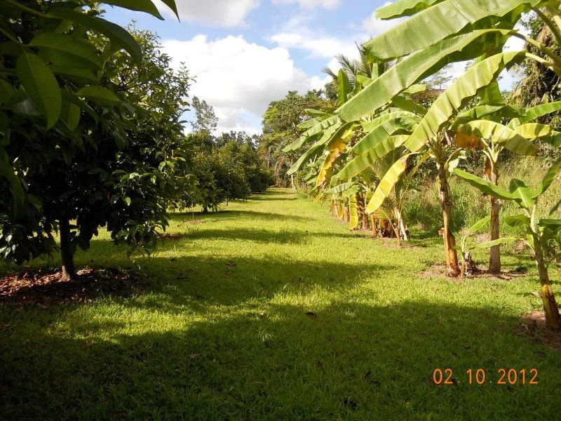 Photo - 10 Fishers Creek Road, Coorumba QLD 4860 - Image 21