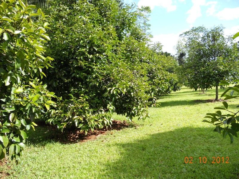 Photo - 10 Fishers Creek Road, Coorumba QLD 4860 - Image 22