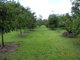 Photo - 10 Fishers Creek Road, Coorumba QLD 4860 - Image 23