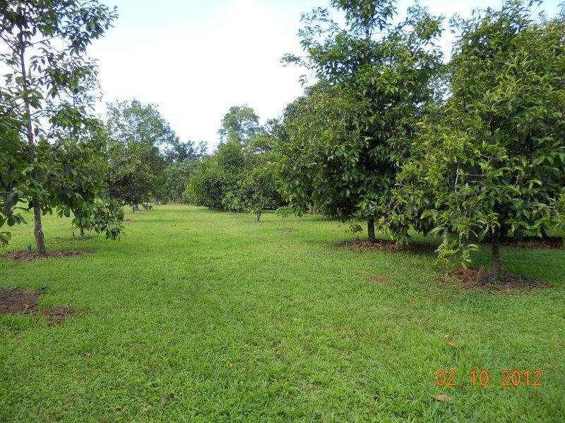 Photo - 10 Fishers Creek Road, Coorumba QLD 4860 - Image 24