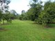 Photo - 10 Fishers Creek Road, Coorumba QLD 4860 - Image 24