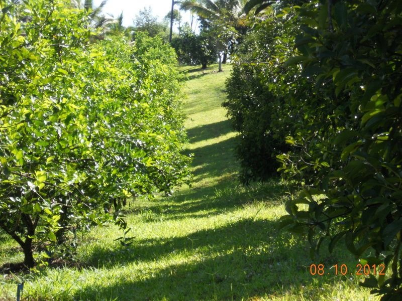 Photo - 10 Fishers Creek Road, Coorumba QLD 4860 - Image 26