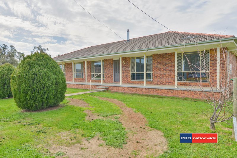 Photo - 10 Flinders Street, Tamworth NSW 2340 - Image 19