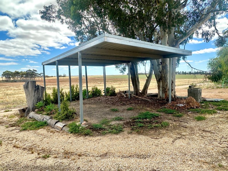 Photo - 10 Gilbert Avenue, Pinnaroo SA 5304 - Image 14