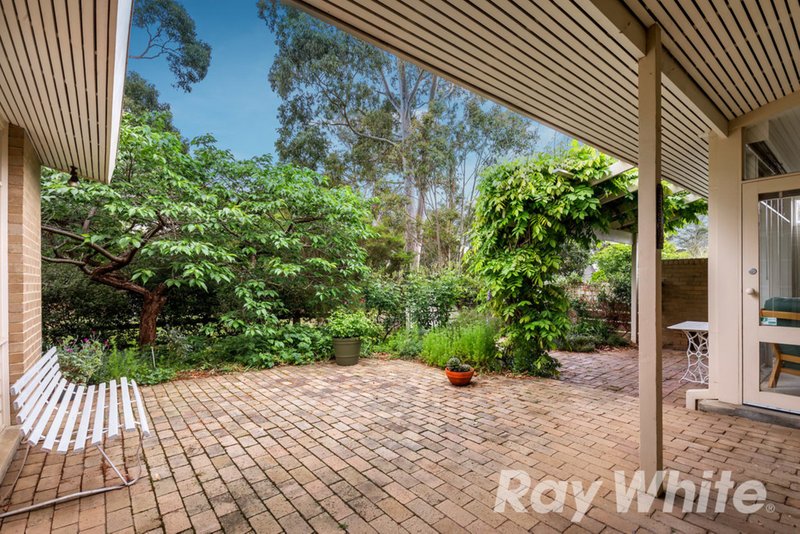 Photo - 10 Granya Court, Blackburn South VIC 3130 - Image 9