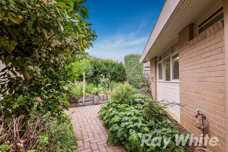 Photo - 10 Granya Court, Blackburn South VIC 3130 - Image 10